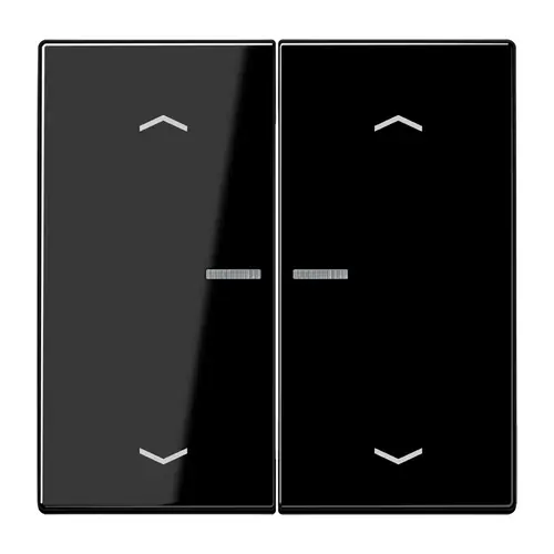 JUNG LS 102 KO5P SW schakelwip 2-voudig met controlevenster en pijlsymbolen voor HOME draadloze schakelaar LS990 zwart glans