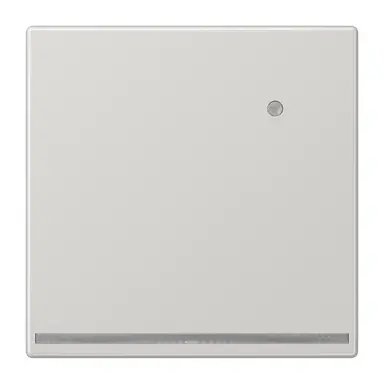 JUNG LS 1539-O LG LNW LED-orientatieverlichting met geïntegreerde lichtsensor LS990 lichtgrijs