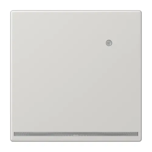 JUNG LS 1539-O LG LNW LED-orientatieverlichting met geïntegreerde lichtsensor LS990 lichtgrijs