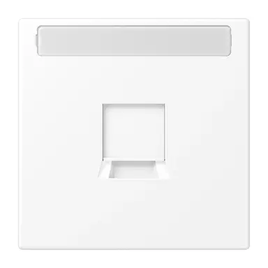 JUNG LS 1969-1 NA WE WWM centraalplaat 1-voudig modular-jack tekstvenster LS990 sneeuwwit mat