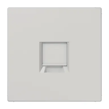 JUNG LS 1969-1 WE LG centraalplaat met draagring 1-voudig voor modulair jack LS990 lichtgrijs