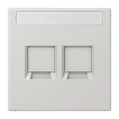 JUNG LS 1969-2 NA WE LG centraalplaat 2-voudig modular-jack tekstvenster LS990 lichtgrijs