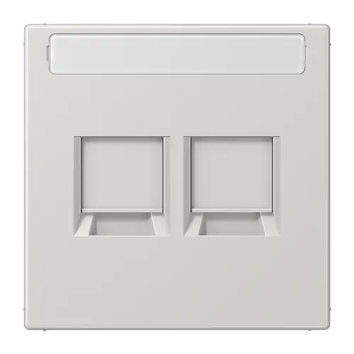 JUNG LS 1969-2 NA WE LG centraalplaat 2-voudig modular-jack tekstvenster LS990 lichtgrijs