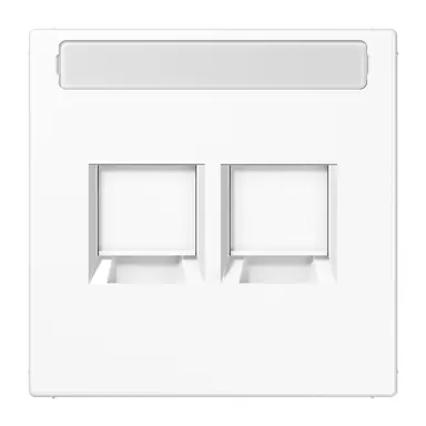JUNG LS 1969-2 NA WE WW centraalplaat 2-voudig modular-jack tekstvenster LS990 alpine wit