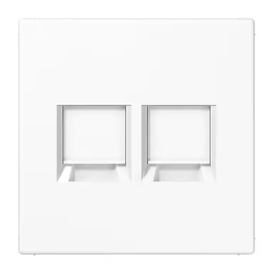 JUNG LS 1969-2 WE WW centraalplaat met draagring 2-voudig voor modulair jack LS990 alpine wit