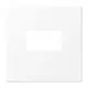 JUNG LS 1969 USB WWM centraalplaat USB-lader met klikbevestiging LS990 sneeuwwit mat