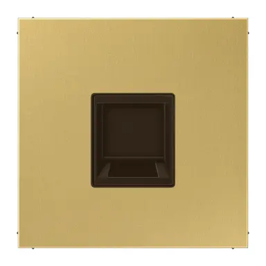 JUNG ME 1969-1 WE C centraalplaat met draagring 1-voudig voor modulair jack LS990 messing klassiek