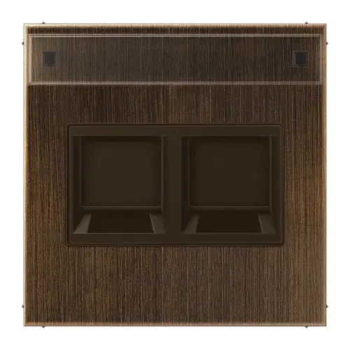 JUNG ME 1969-2 NA WE AT centraalplaat 2-voudig modular-jack tekstvenster LS990 messing antiek