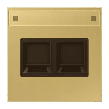 JUNG ME 1969-2 NA WE C centraalplaat 2-voudig modular-jack tekstvenster LS990 messing klassiek