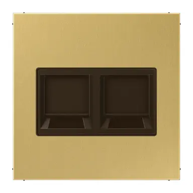 JUNG ME 1969-2 WE C centraalplaat met draagring 2-voudig voor modulair jack LS990 messing klassiek