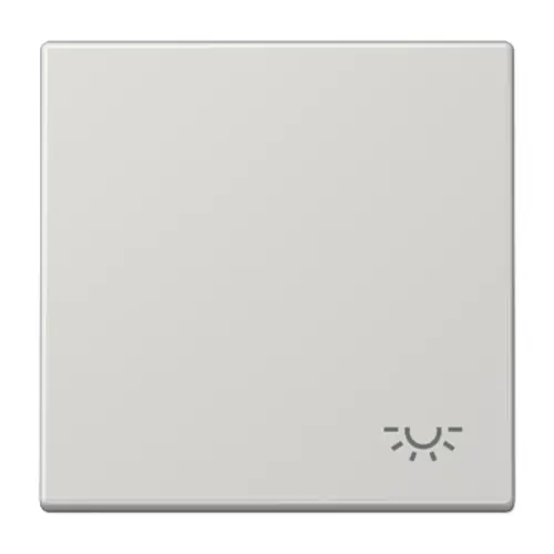 JUNG LS 990 L LG schakelwip met lichtsymbool LS990 lichtgrijs