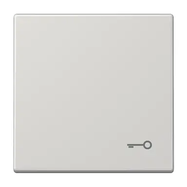 JUNG LS 990 T LG schakelwip met sleutelsymbool LS990 lichtgrijs