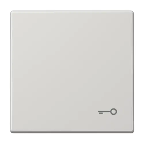 JUNG LS 990 T LG schakelwip met sleutelsymbool LS990 lichtgrijs