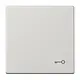 JUNG LS 990 T LG schakelwip met sleutelsymbool LS990 lichtgrijs
