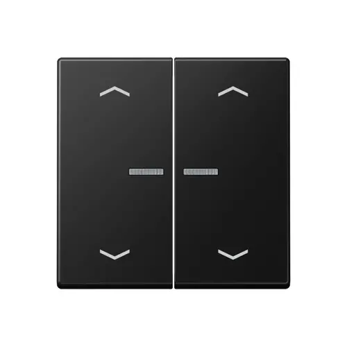 JUNG A 102 KO5P BF SWM schakelwip 2-voudig met controlevenster en pijlsymbolen voor HOME draadloze schakelaar A-range grafietzwart mat