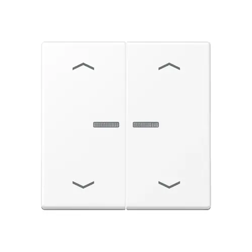 JUNG A 102 KO5P BF WWM schakelwip 2-voudig met controlevenster en pijlsymbolen voor HOME draadloze schakelaar A-range sneeuwwit mat
