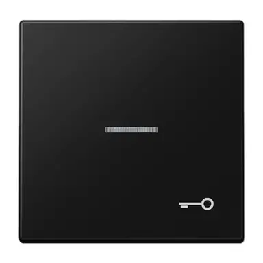 JUNG LS 990 KO5 T SWM schakelwip met sleutelsymbool en controlevenster LS990 grafietzwart mat