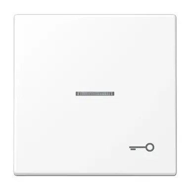JUNG LS 990 KO5 T WWM schakelwip met sleutelsymbool en controlevenster LS990 sneeuwwit mat