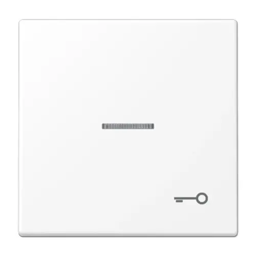 JUNG LS 990 KO5 T WWM schakelwip met sleutelsymbool en controlevenster LS990 sneeuwwit mat