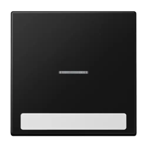 JUNG LS 990 NAKO5 SWM schakelwip met controlevenster en tekstvenster LS990 grafietzwart mat