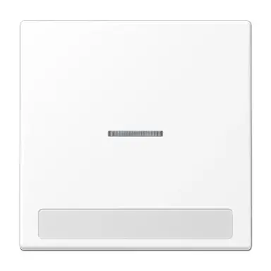 JUNG LS 990 NAKO5 WWM schakelwip met controlevenster en tekstvenster LS990 sneeuwwit mat