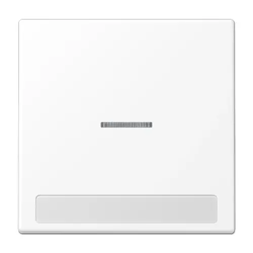 JUNG LS 990 NAKO5 WWM schakelwip met controlevenster en tekstvenster LS990 sneeuwwit mat