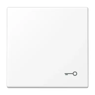 JUNG LS 990 T WWM schakelwip met sleutelsymbool LS990 sneeuwwit mat