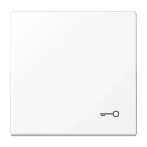 JUNG LS 990 T WWM schakelwip met sleutelsymbool LS990 sneeuwwit mat