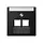 JUNG A 569-2 NA PLUA SWM centraalplaat 2-voudig met tekstvenster tbv RJ45 wandcontactdoos A-range grafietzwart mat