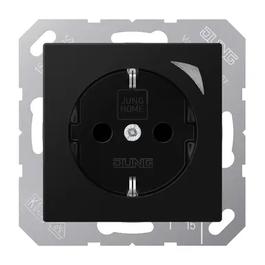 JUNG BT A 1521 SE SWM HOME wandcontactdoos randaarde Energy A-range grafietzwart mat