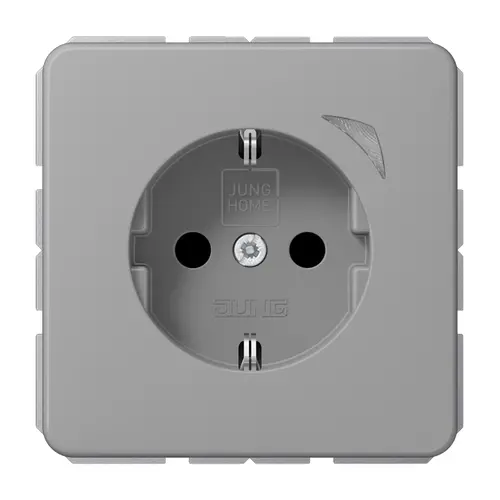 JUNG BT CD 1521 S GR HOME wandcontactdoos randaarde CD500 grijs