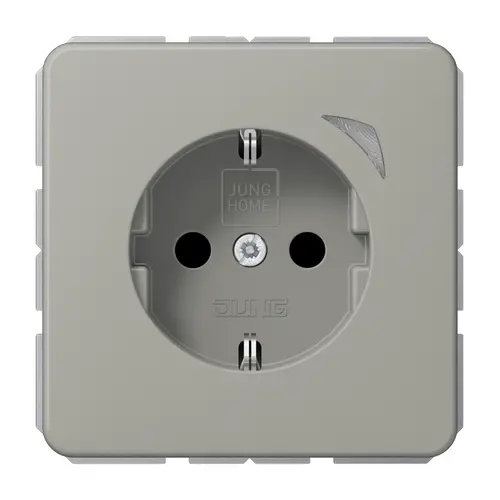 JUNG BT CD 1521 S PT HOME wandcontactdoos randaarde CD500 platina