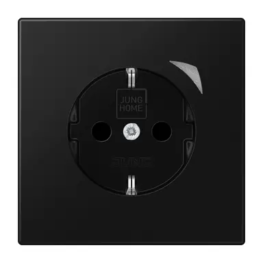 JUNG BT LS 1521 SE SWM HOME wandcontactdoos randaarde Energy LS990 grafietzwart mat