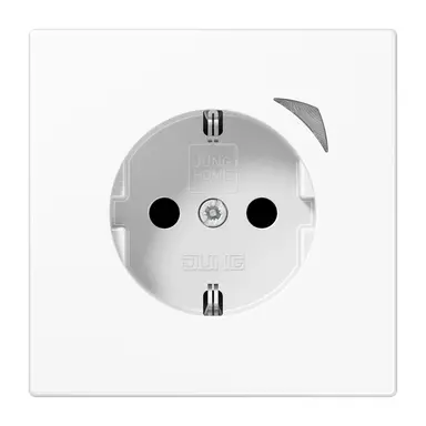 JUNG BT LS 1521 SE WW HOME wandcontactdoos randaarde Energy LS990 alpine wit