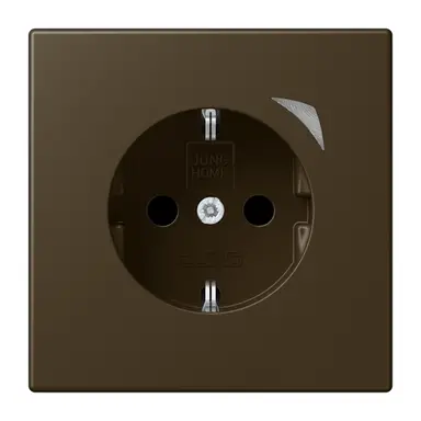 JUNG BT ME 1521 S AT-L HOME wandcontactdoos randaarde LS990 messing antiek