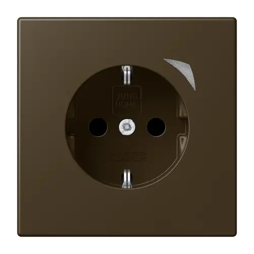 JUNG BT ME 1521 S AT-L HOME wandcontactdoos randaarde LS990 messing antiek