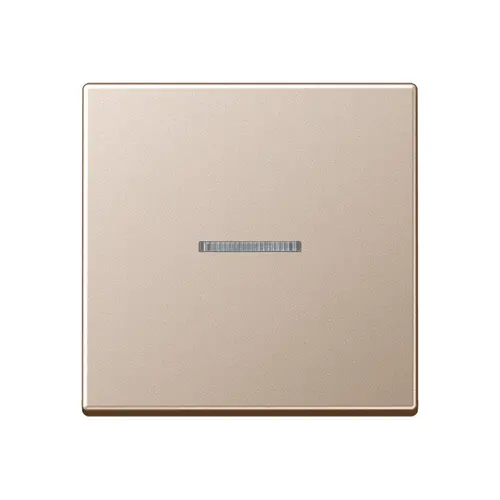 JUNG BT A 17101 CH HOME dimmerknop 1-voudig A-range champagne
