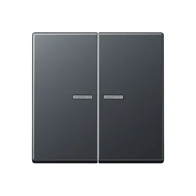 JUNG BT A 17102 BF ANM HOME dimmerknop 2-voudig A-range antraciet mat