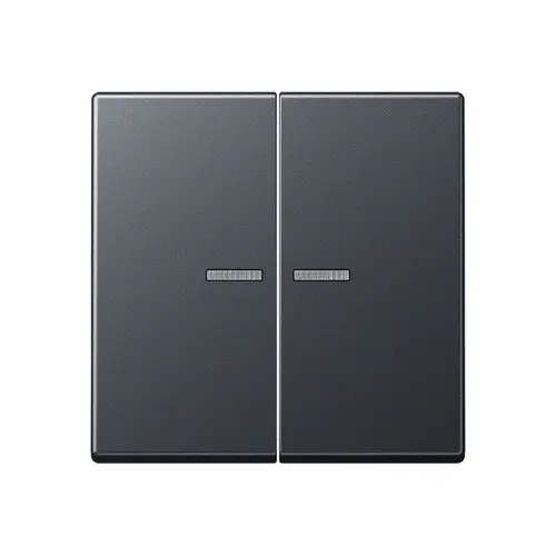 JUNG BT A 17102 BF ANM HOME dimmerknop 2-voudig A-range antraciet mat