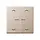 JUNG BT A 17102 P CH HOME dimmerknop 2-voudig met pijlsymbolen A-range champagne