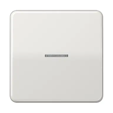 JUNG BT CD 17101 LG HOME dimmerknop 1-voudig CD500 lichtgrijs