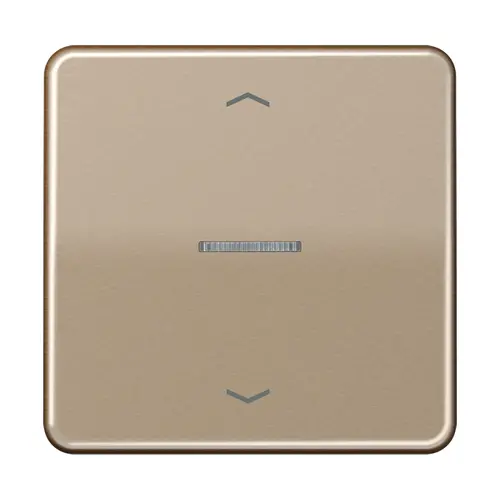 JUNG BT CD 17101 P GB HOME dimmerknop 1-voudig met pijlsymbolen CD500 goud brons