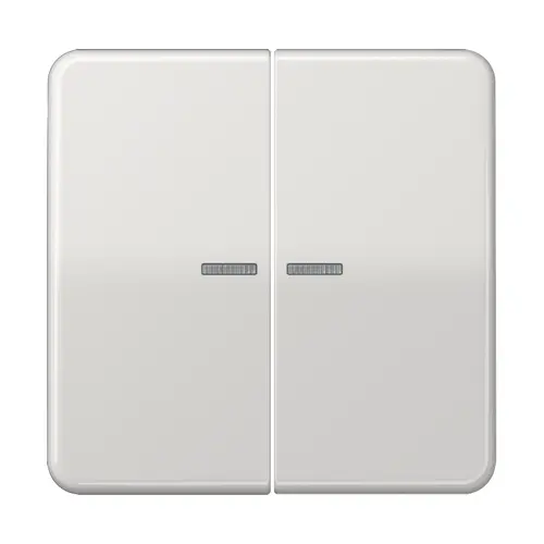 JUNG BT CD 17102 LG HOME dimmerknop 2-voudig CD500 lichtgrijs
