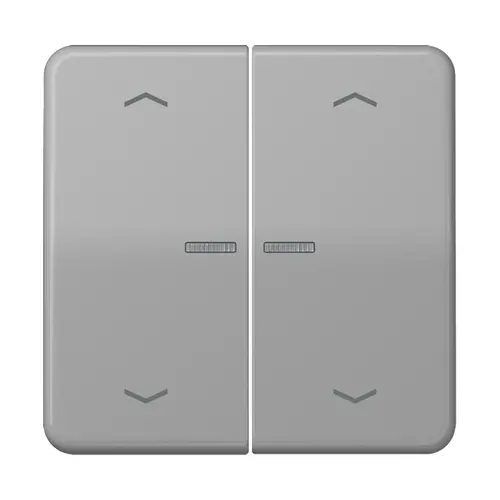 JUNG BT CD 17102 P GR HOME dimmerknop 2-voudig met pijlsymbolen CD500 grijs