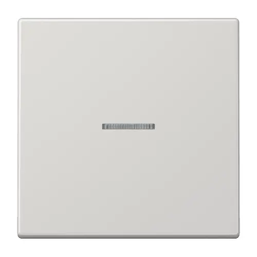 JUNG BT LS 17101 LG HOME dimmerknop 1-voudig LS990 lichtgrijs