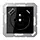 JUNG A 1520 F-15 CA SW wandcontactdoos penaarde Safety+ met USB type A en C A-range zwart