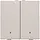 Niko 102-52202 drukknop 2-voudig met LED en comfortsensoren voor Niko Home Control light grey