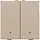 Niko 157-52202 drukknop 2-voudig met LED en comfortsensoren voor Niko Home Control champagne coated