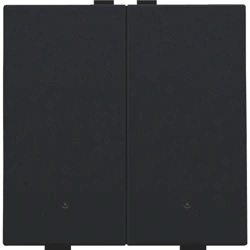Niko 161-52202 drukknop 2-voudig met LED en comfortsensoren voor Niko Home Control black coated