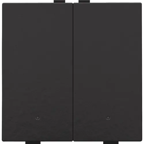 Niko 200-52202 drukknop 2-voudig met LED en comfortsensoren voor Niko Home Control piano black coated